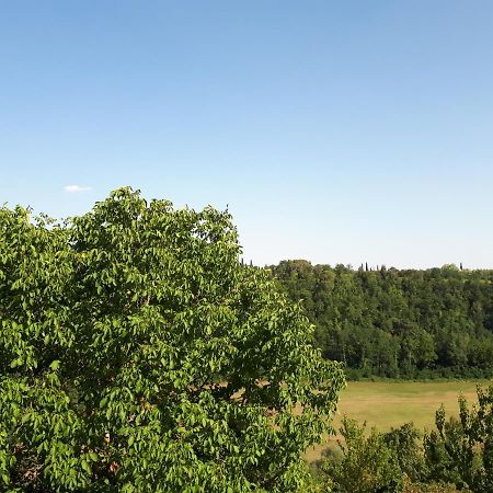 Podere Calcinaia Кастельнуово-Берарденґа Екстер'єр фото