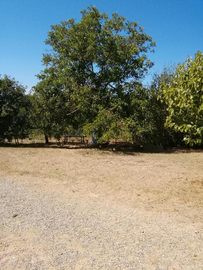 Podere Calcinaia Кастельнуово-Берарденґа Екстер'єр фото