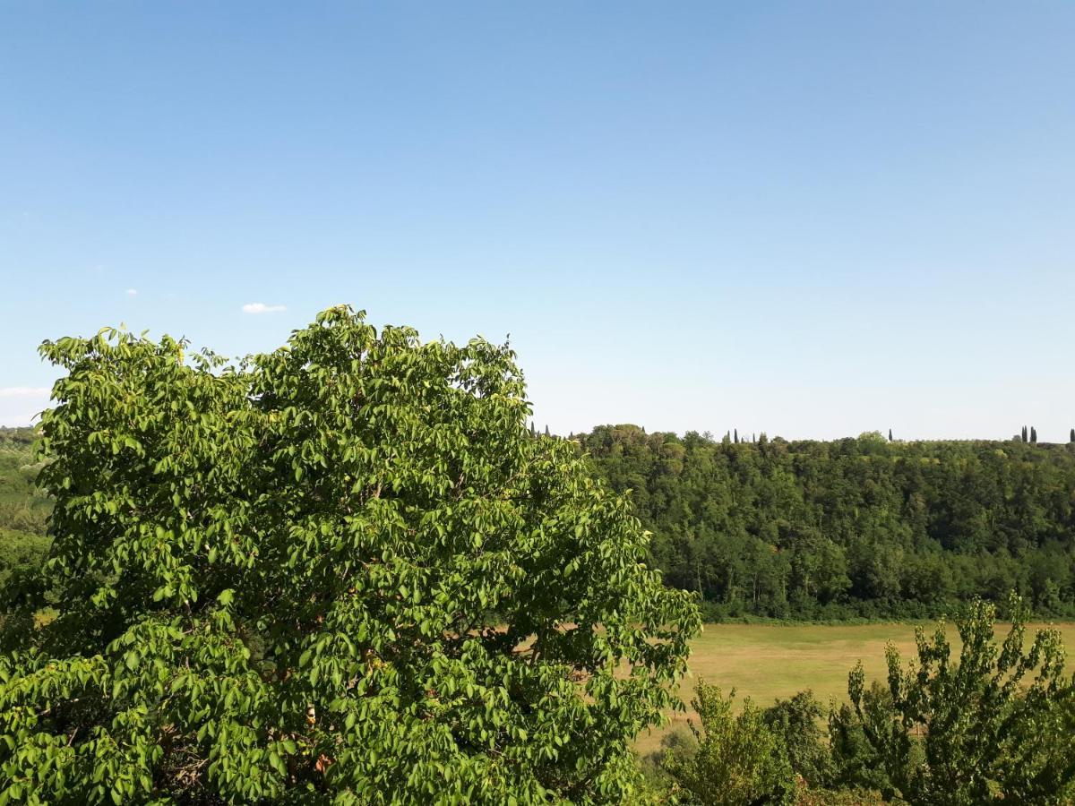 Podere Calcinaia Кастельнуово-Берарденґа Екстер'єр фото