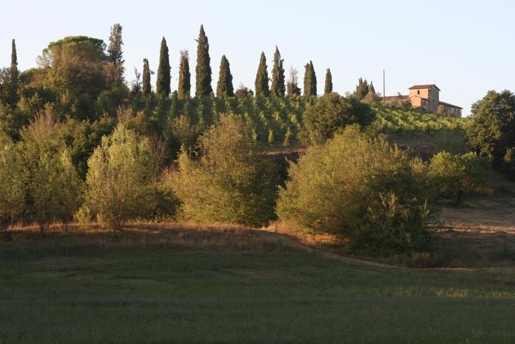 Podere Calcinaia Кастельнуово-Берарденґа Екстер'єр фото