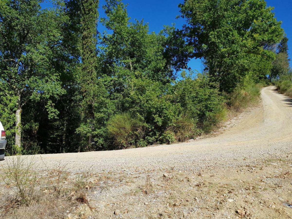 Podere Calcinaia Кастельнуово-Берарденґа Екстер'єр фото